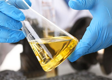 Laboratory Analysis
